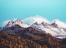 九游娱乐-湖北女篮啦啦队分享舞蹈：暂停百老汇既视感