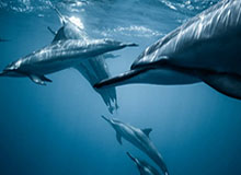 开云体育下载APP：开启你的专属体育新纪元